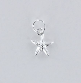 Pendentif mini étoile de mer - Argent 925
